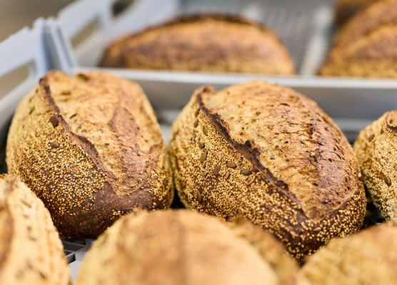 Close up view of loaves of bread in a tray